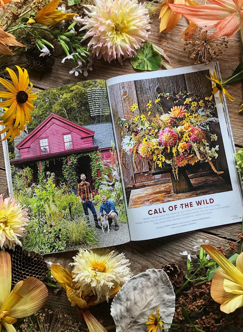 Hort and pott :  the new alchemy