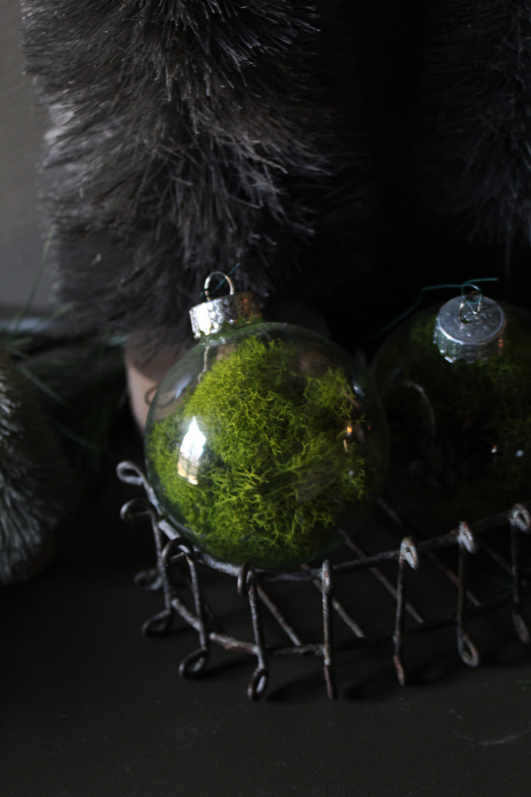 Reindeer Moss Ornament