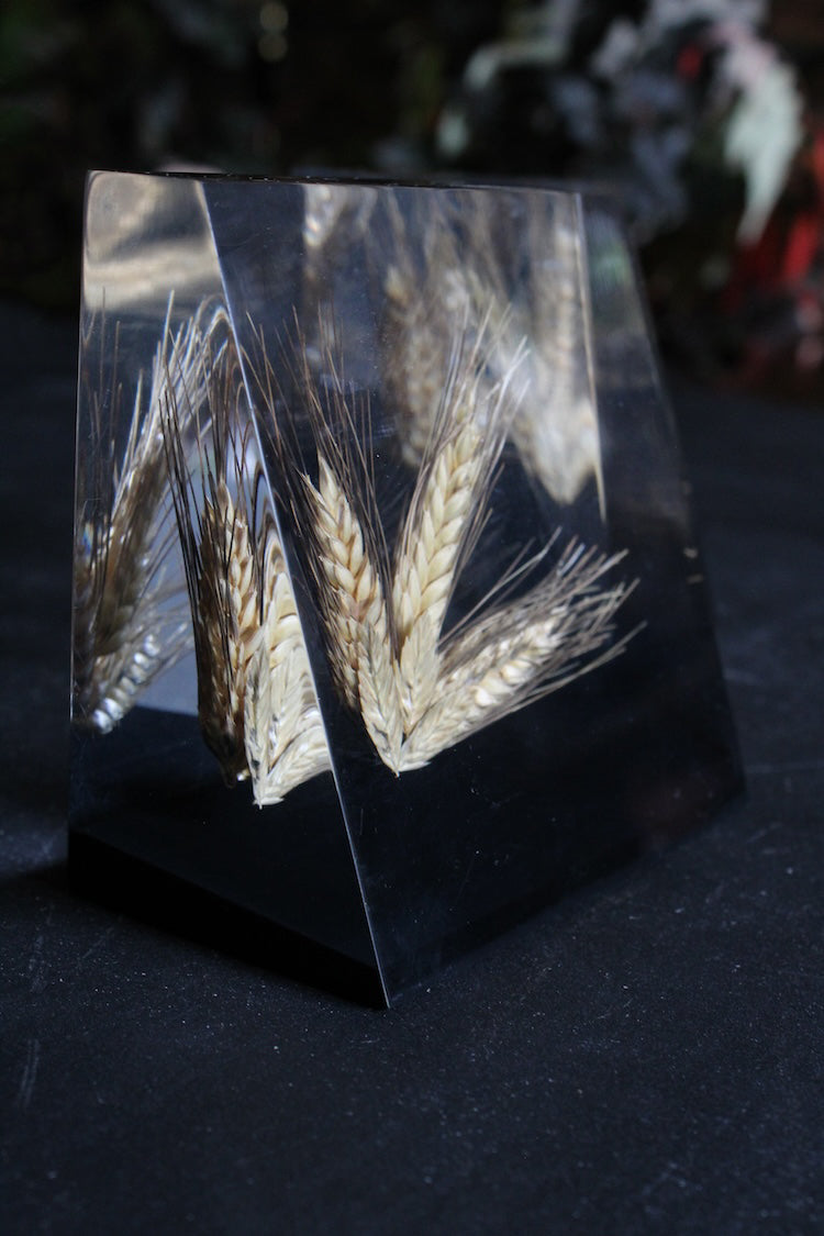 Lucite Wheat Ends