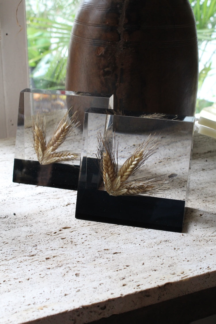 Lucite Wheat Ends
