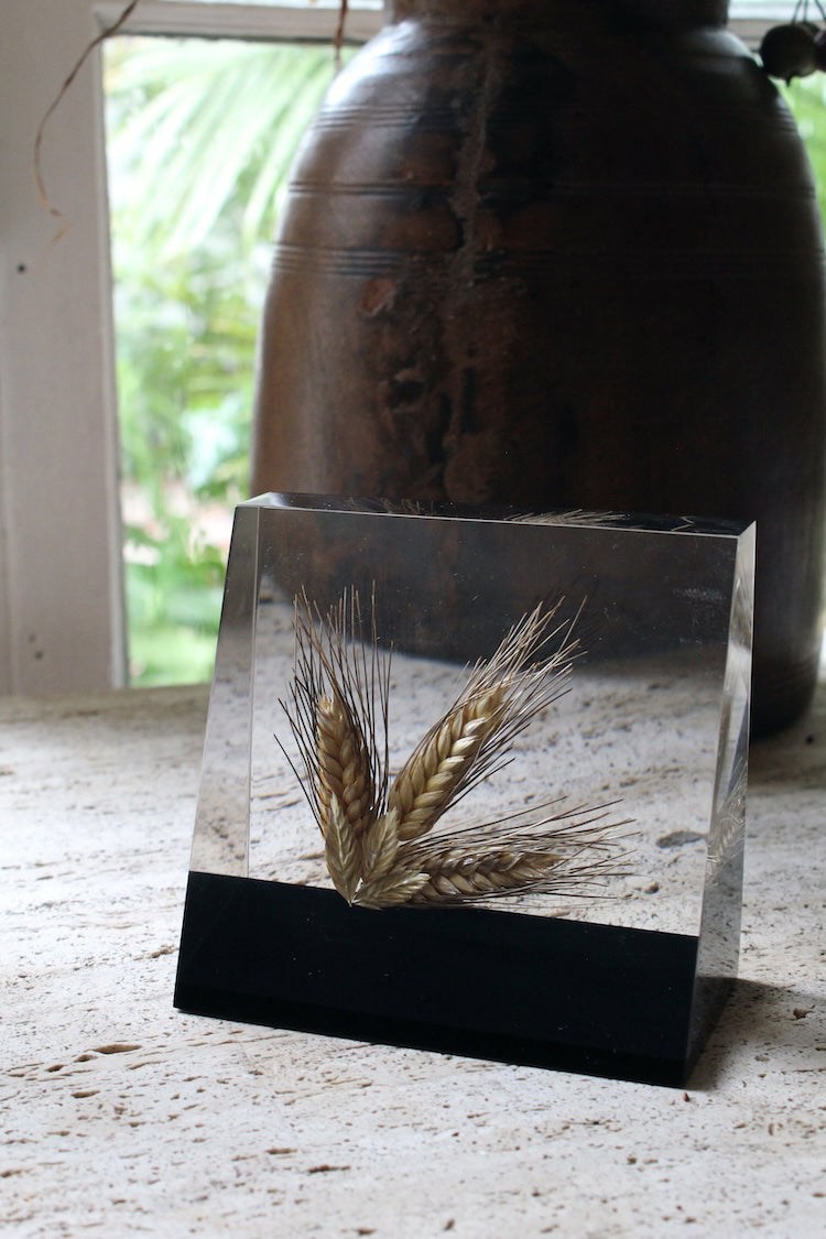 Lucite Wheat Ends
