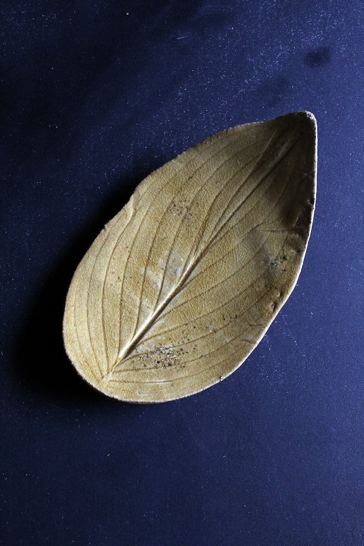 Yangtze Leaves