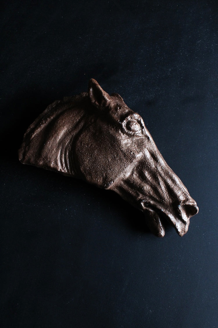 Equine Casting