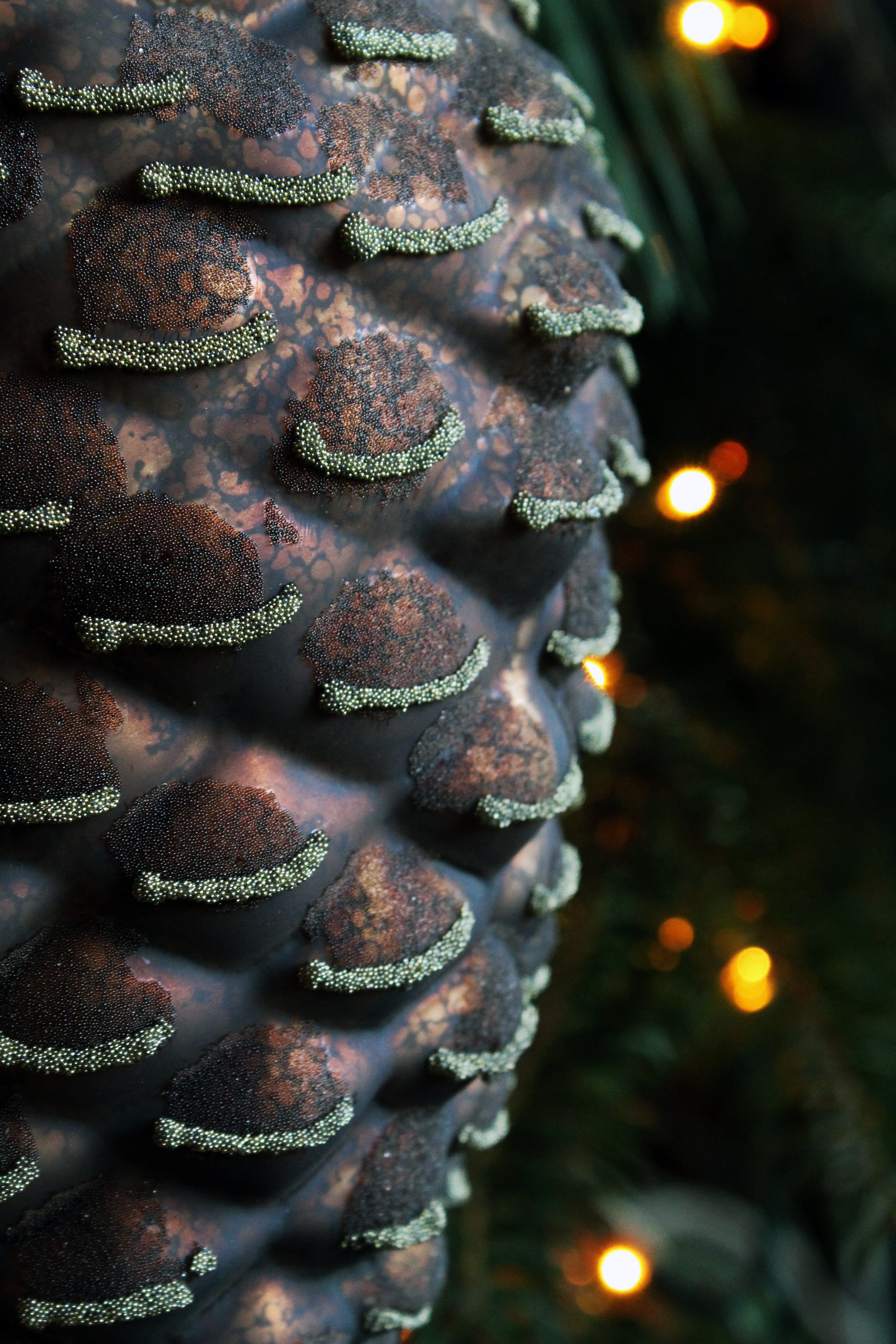 LARGED BEADED CONE 2