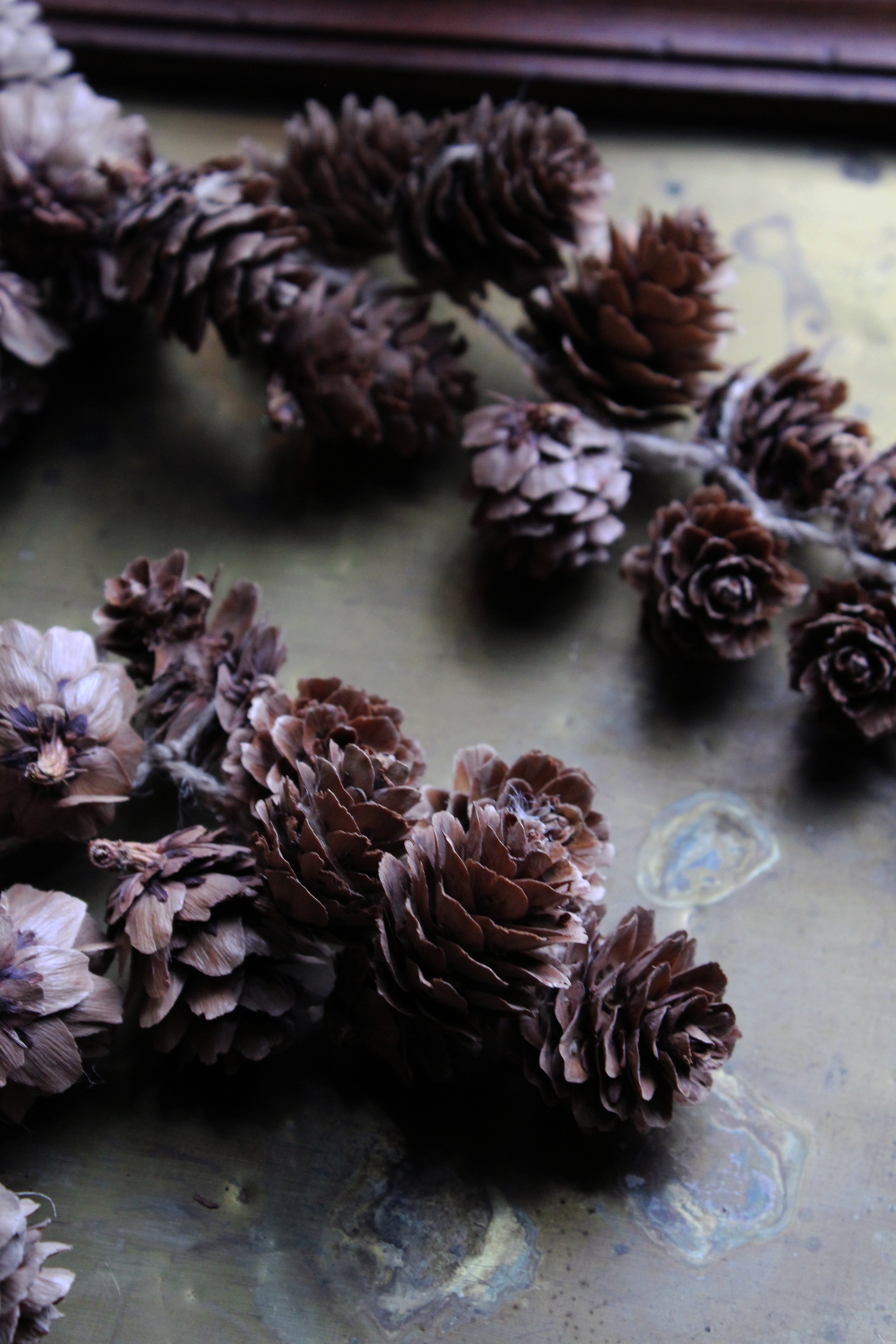 LARIX CONE GARLAND NATURAL