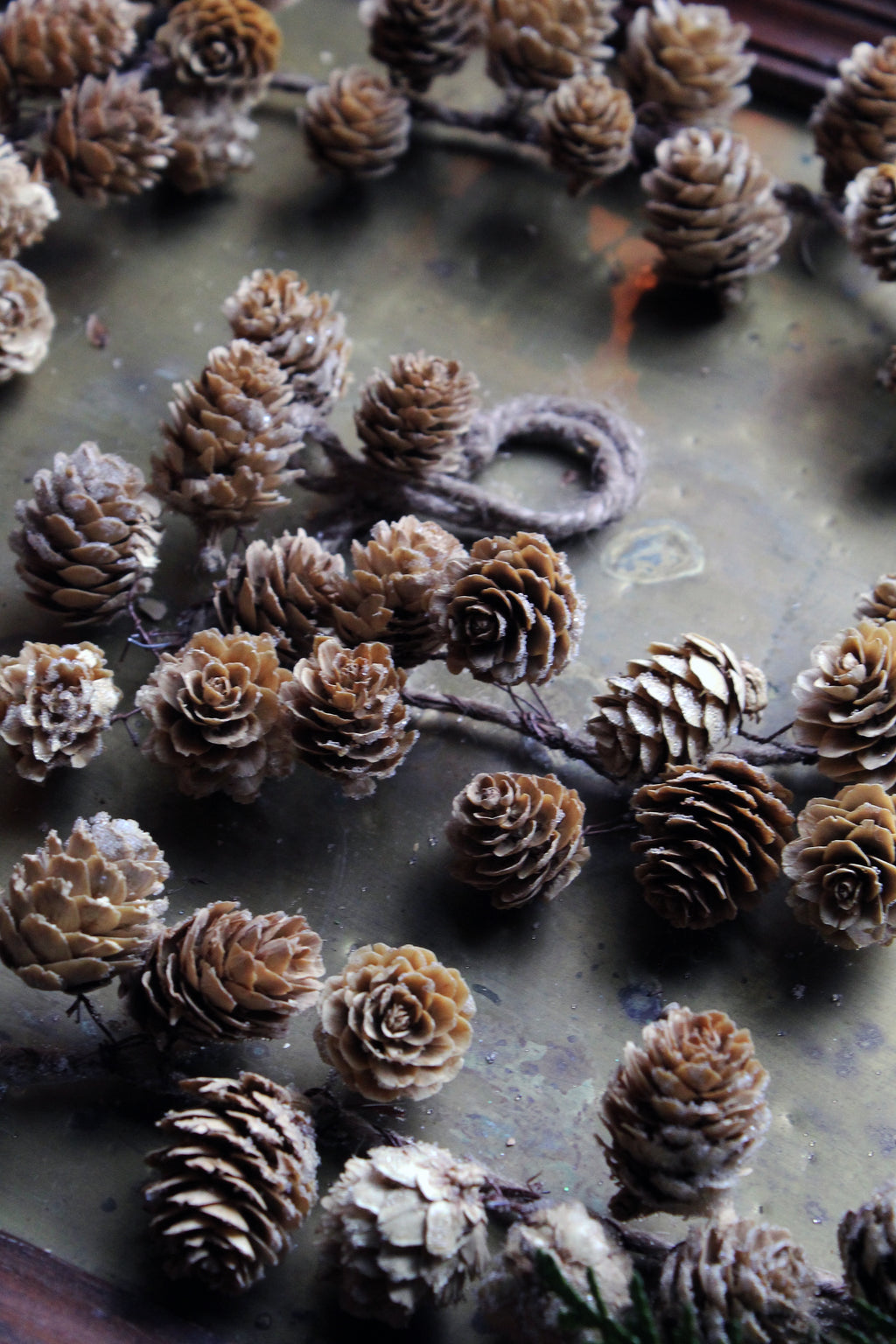 LARIX CONE GARLAND