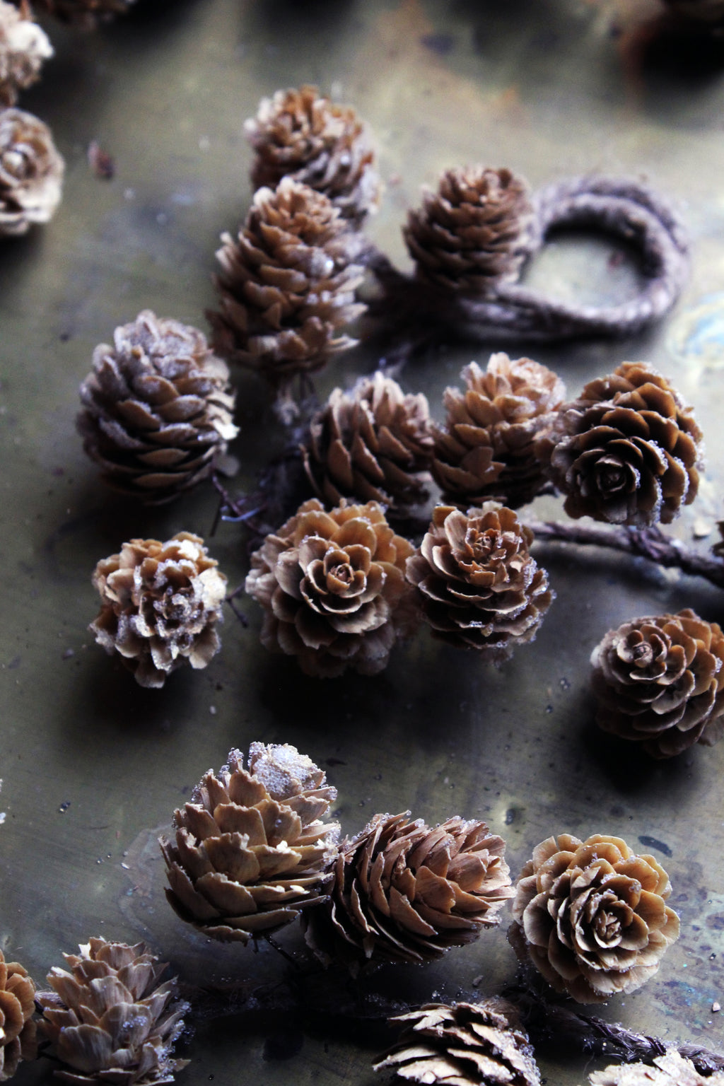 LARIX CONE GARLAND