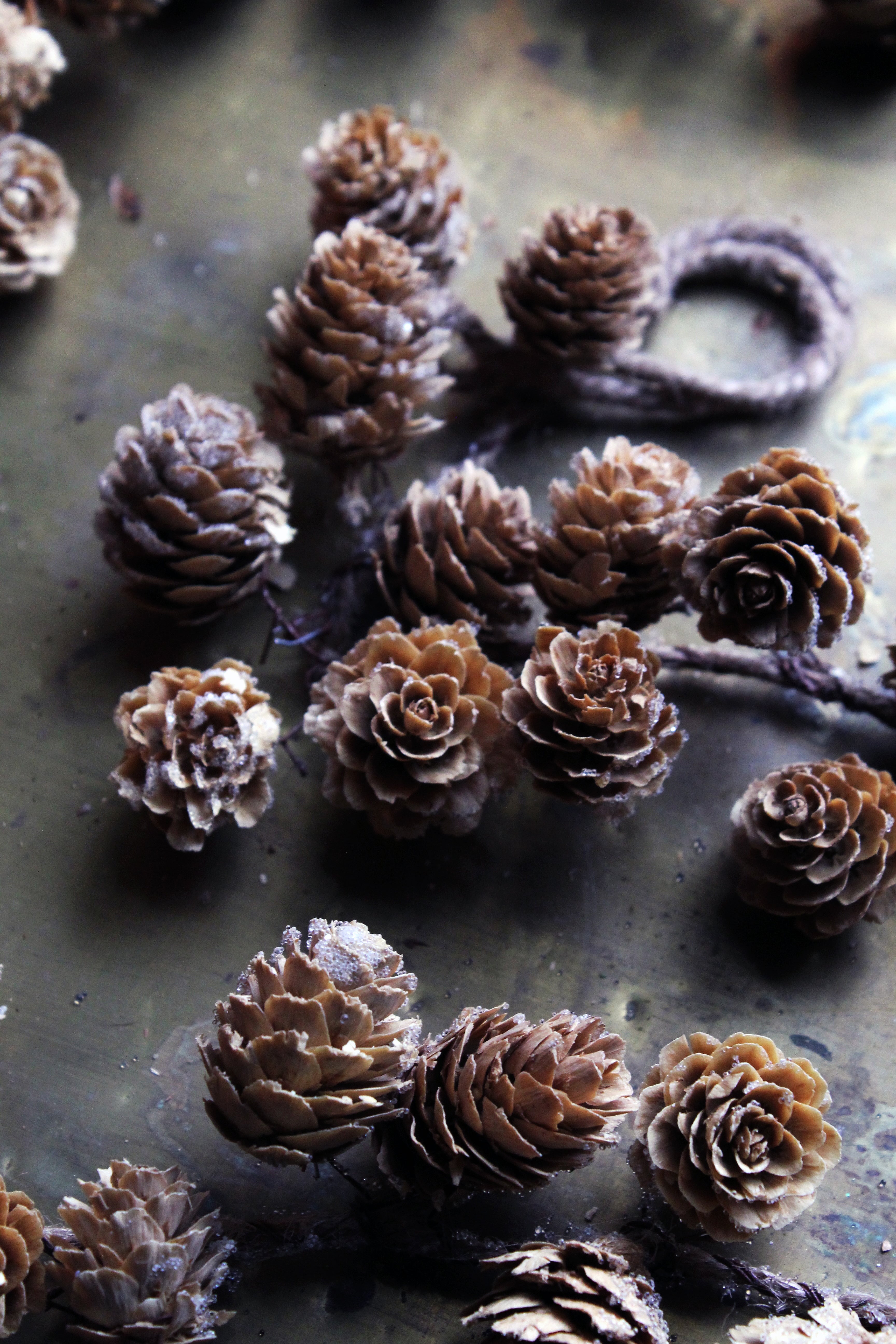 LARIX CONE GARLAND