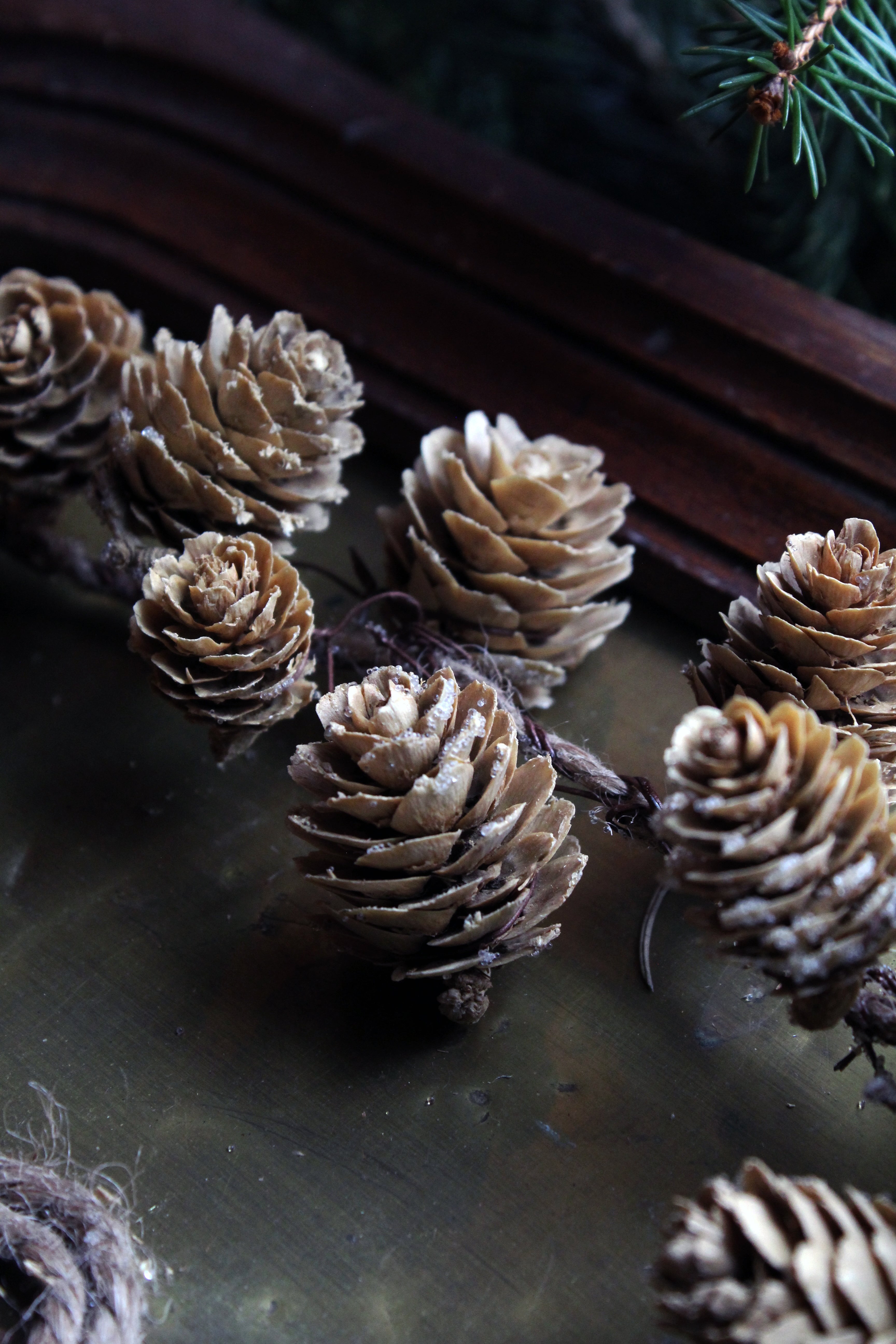 LARIX CONE GARLAND