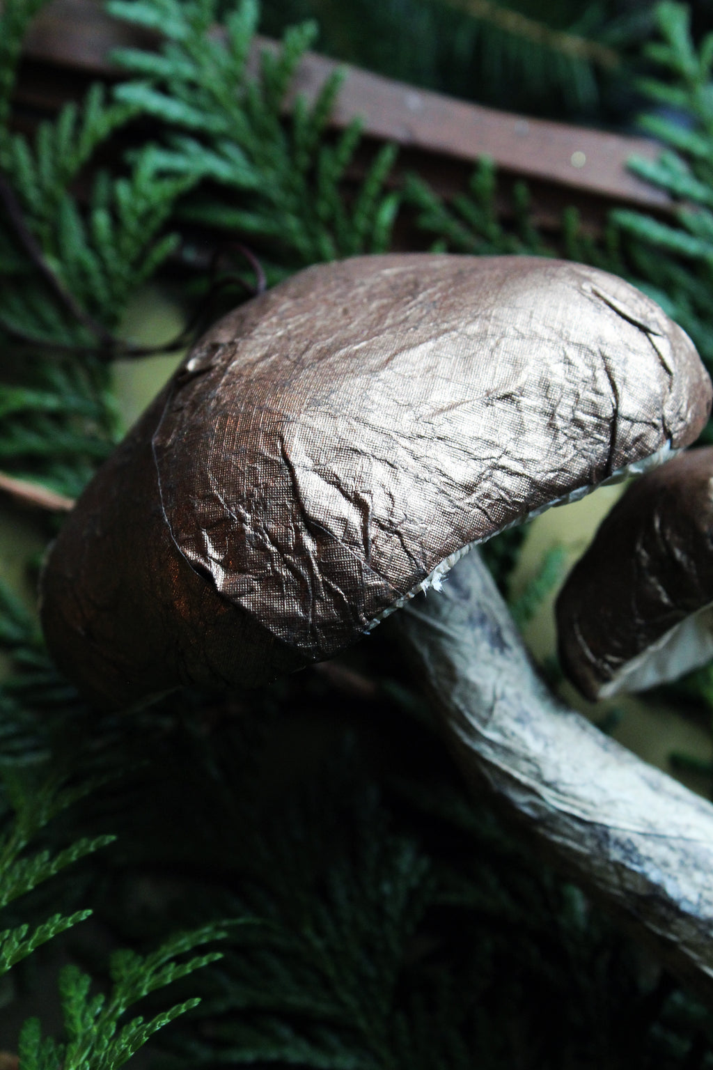 PAPER MUSHROOM DOUBLE