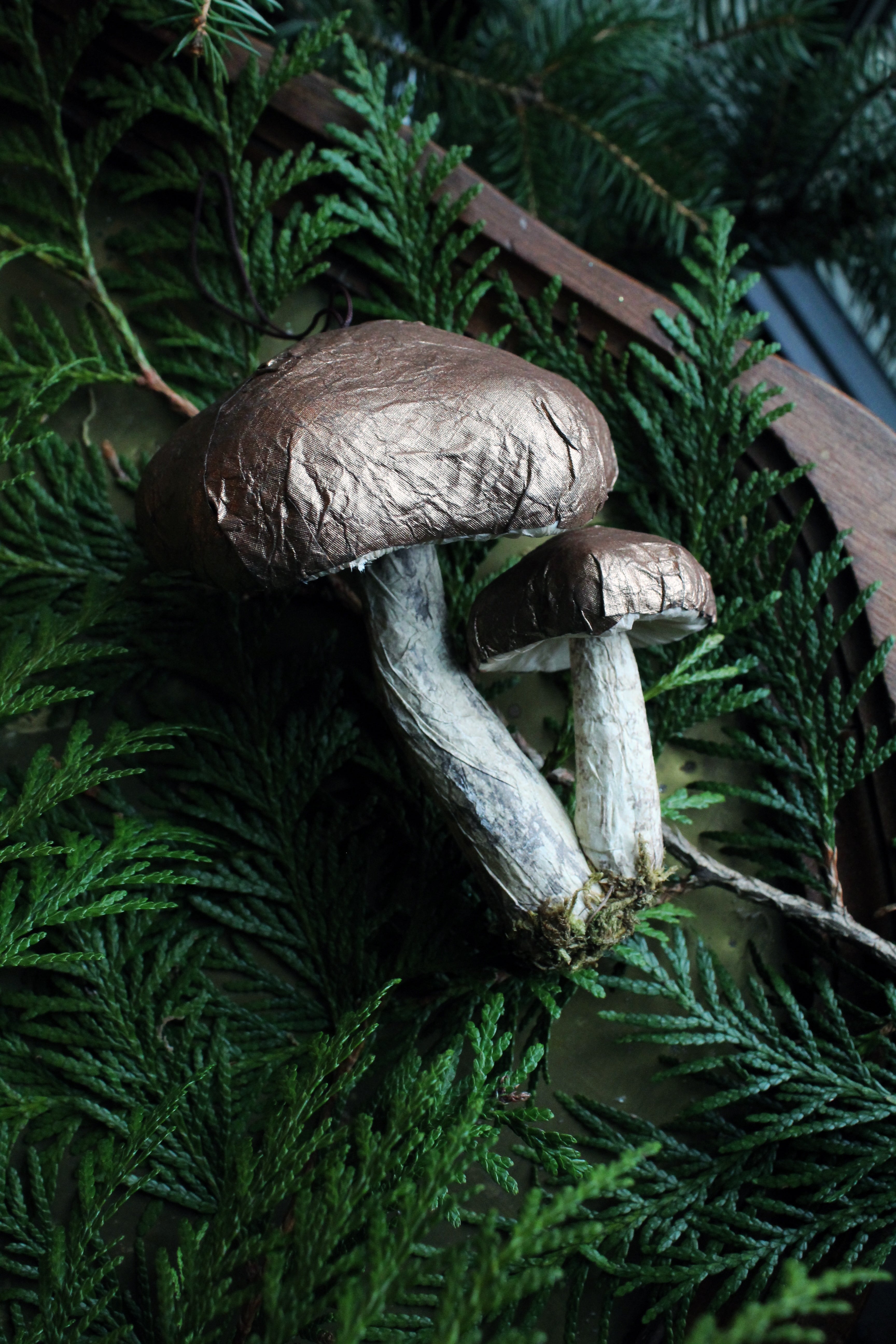 PAPER MUSHROOM DOUBLE