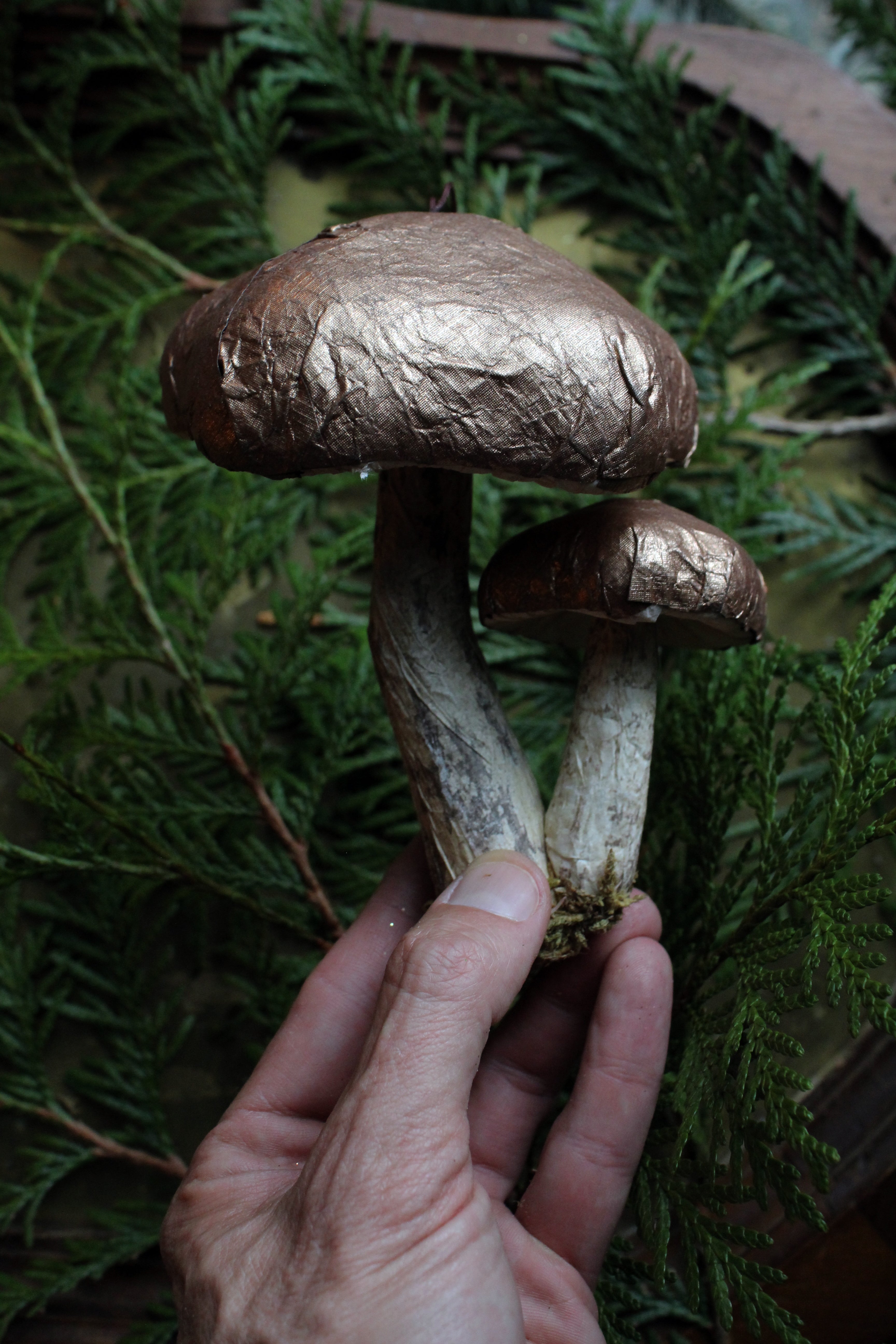 PAPER MUSHROOM DOUBLE