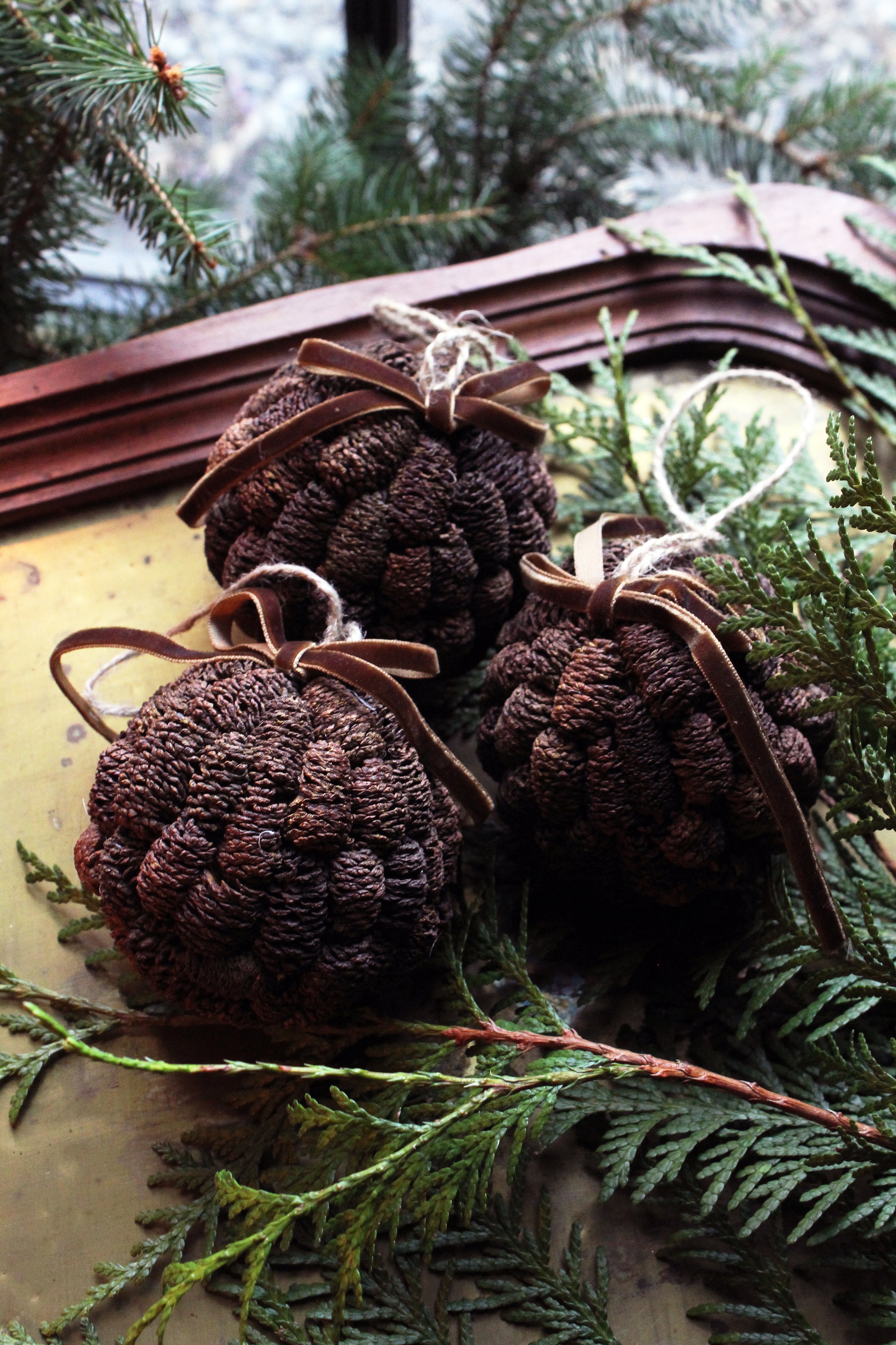 ALDER CONE BALL