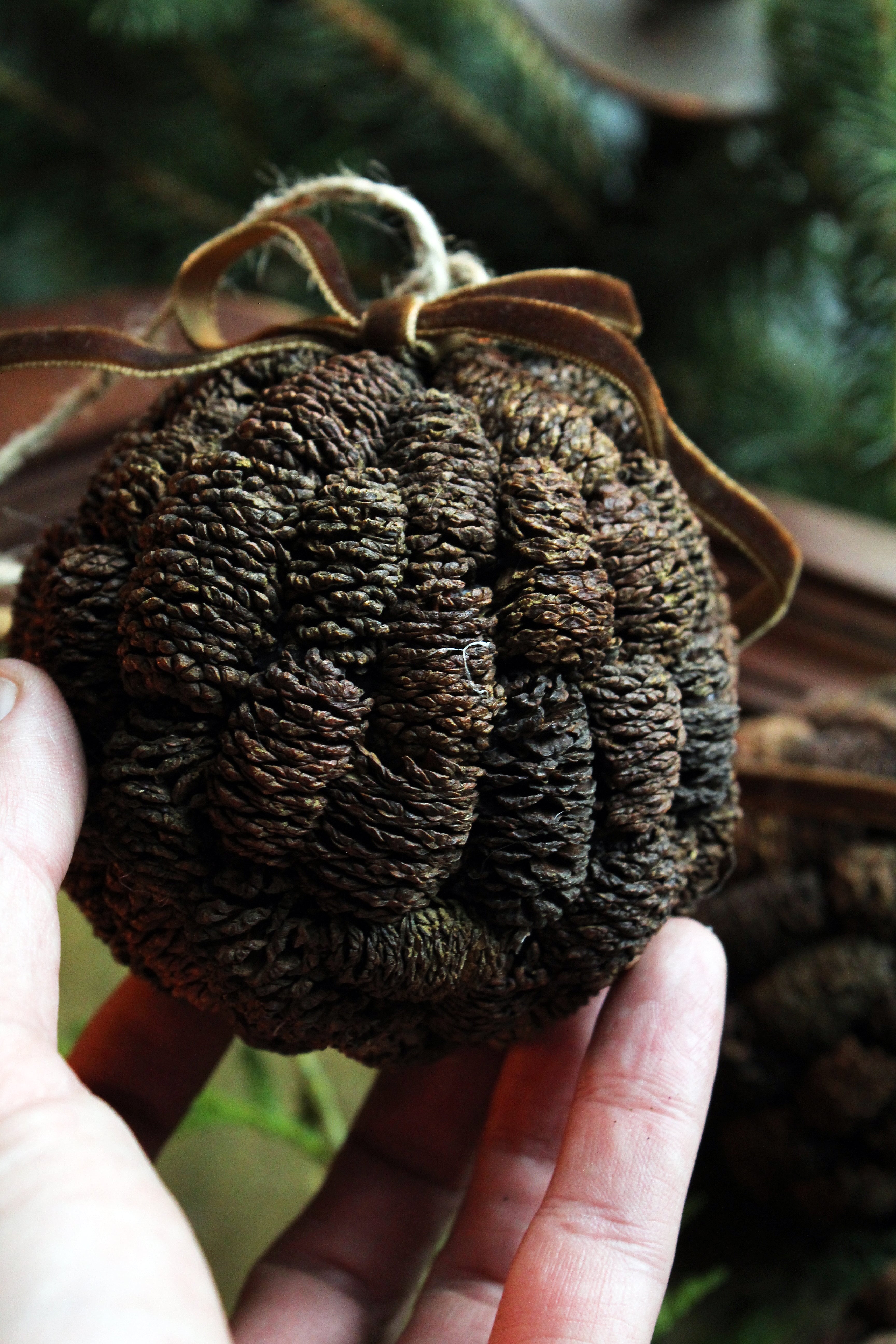 ALDER CONE BALL