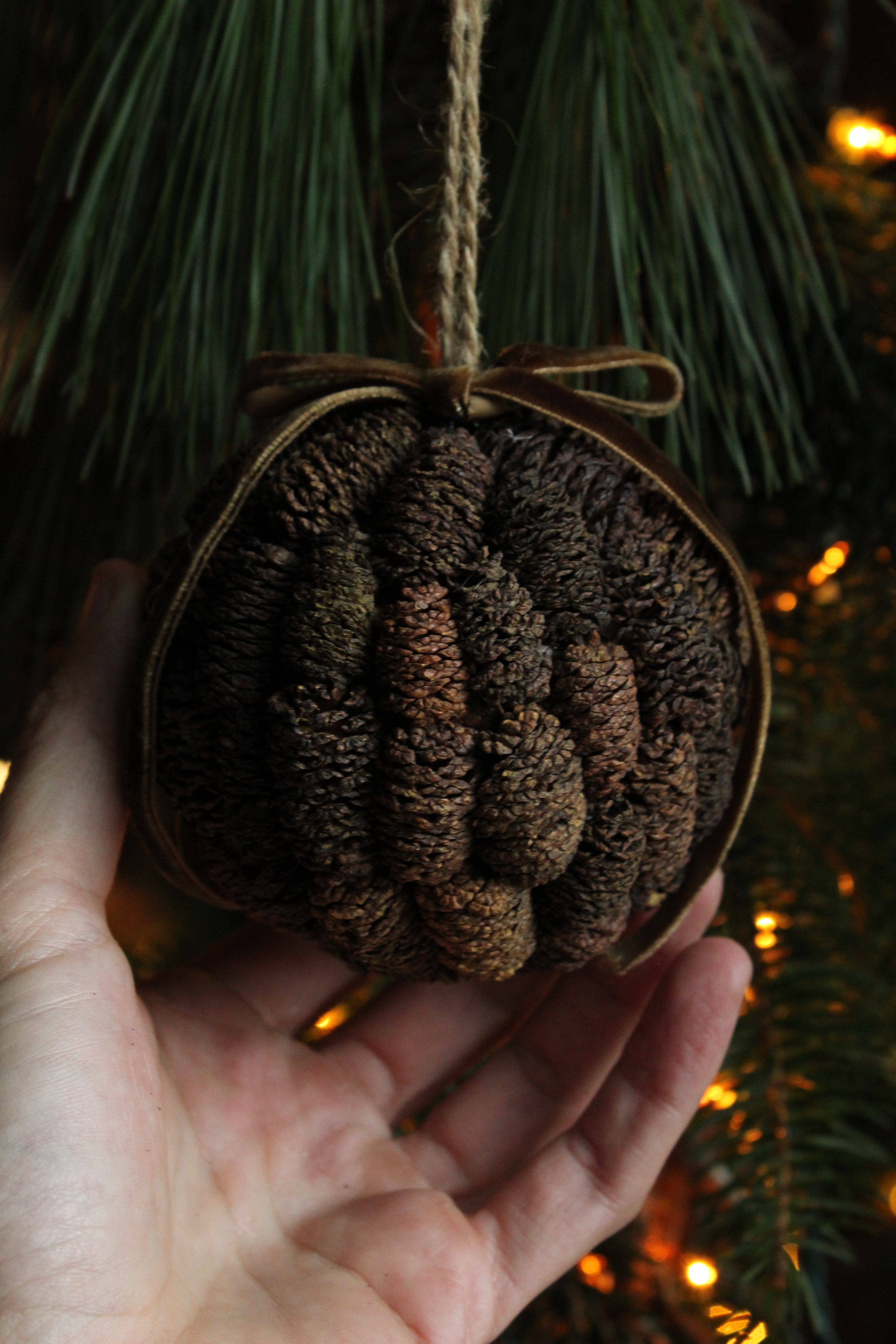 ALDER CONE BALL