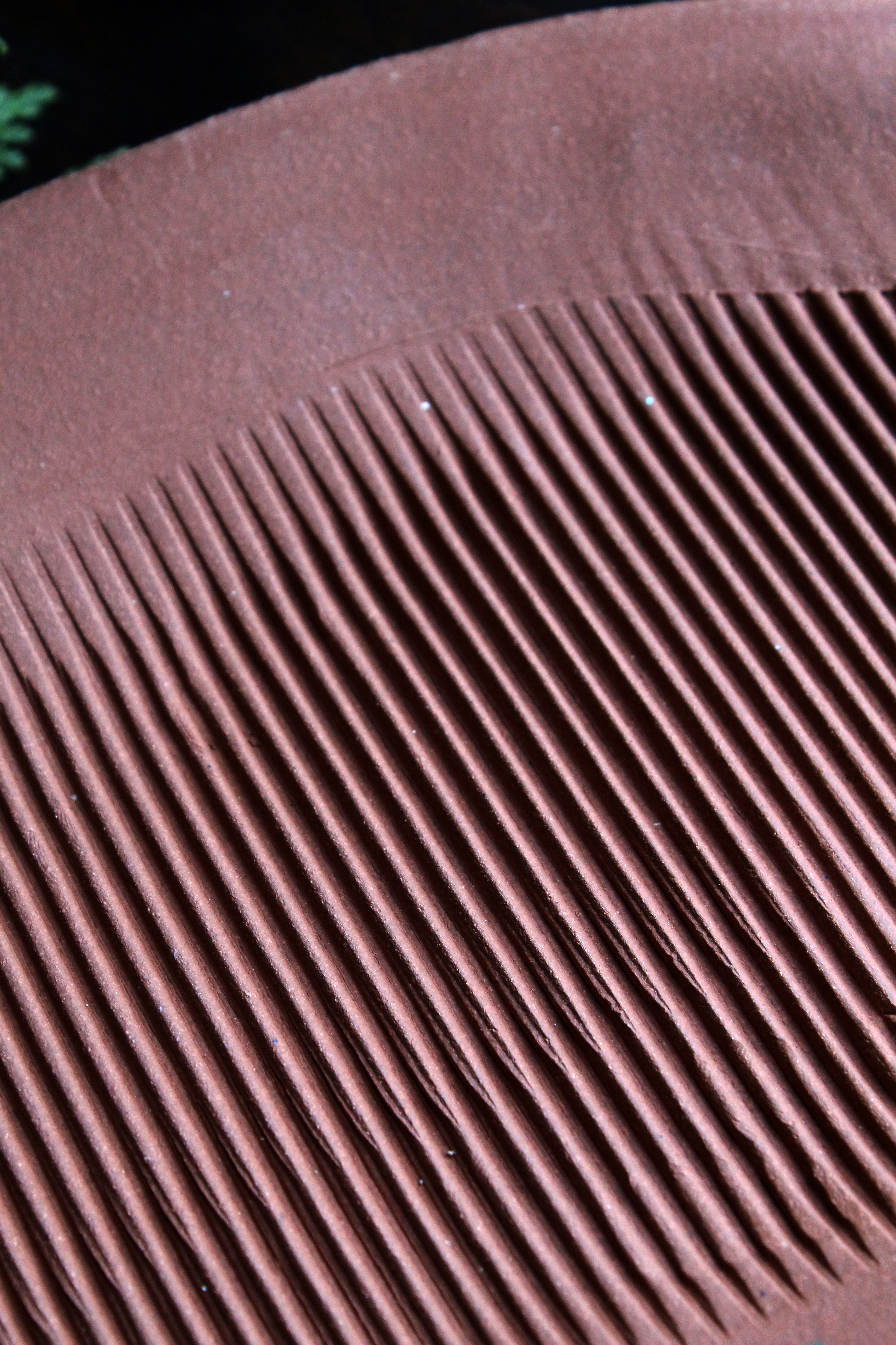 Jewel Beetle Platter 2