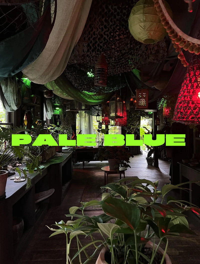 hidden gems among hidden gems