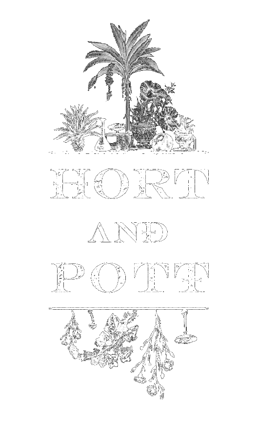HORT AND POTT